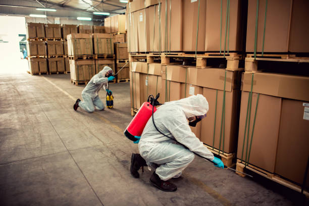 Best Residential Pest Control  in Lely Resort, FL
