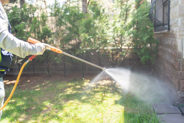 Best Best Pest Control Companies  in Lely Resort, FL