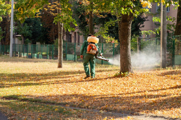 Best Pest Removal Services  in Lely Resort, FL